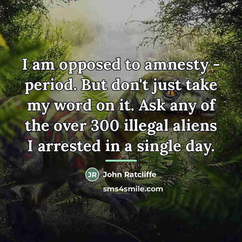 “I am opposed to amnesty - period. But don't just…” quote by John Ratcliffe