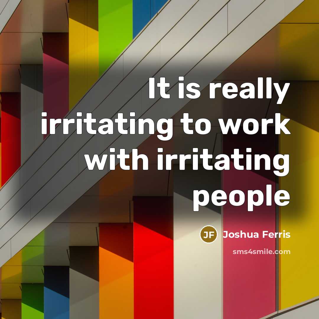 “It is really irritating to work with irritating people…” quote by Joshua Ferris