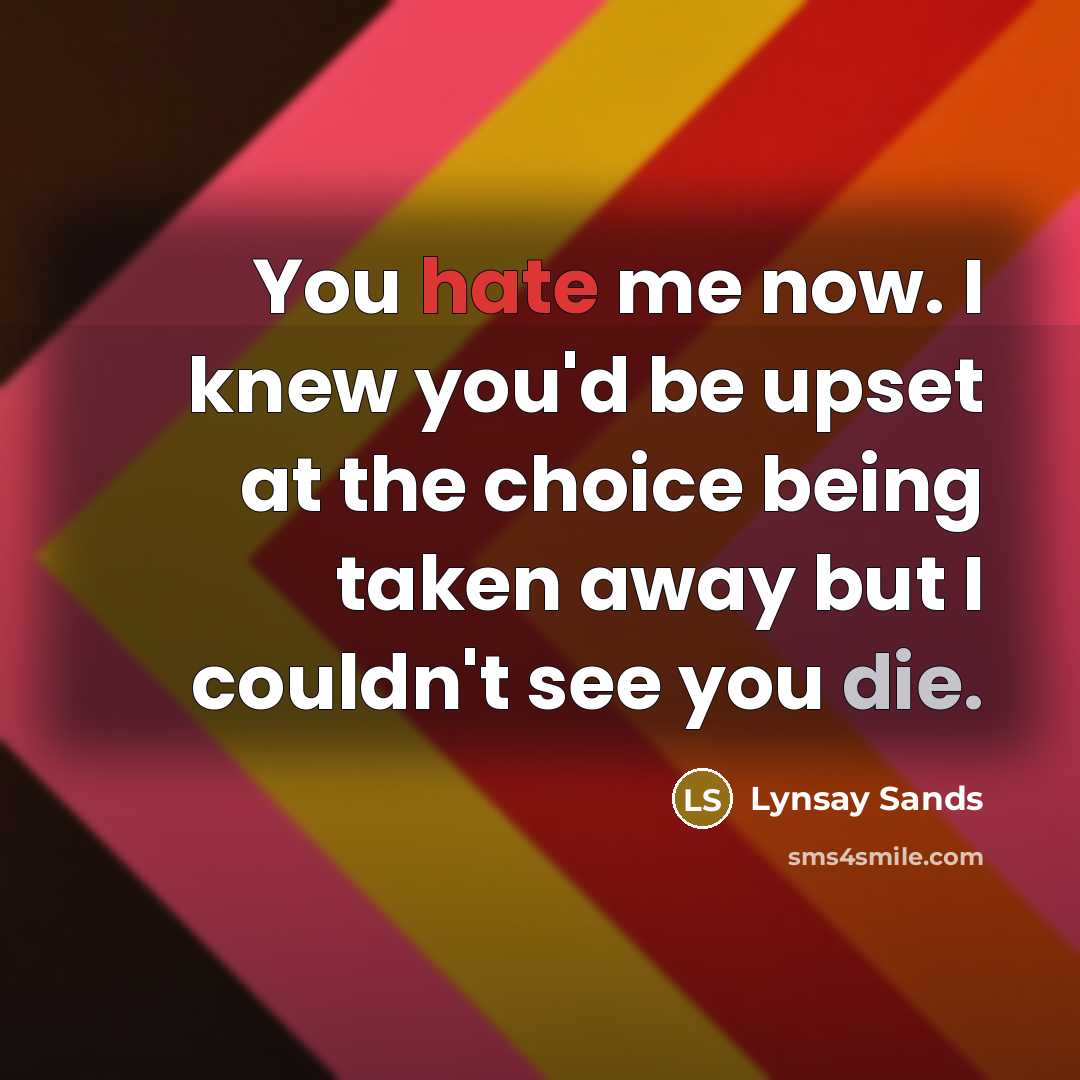 “You hate me now. I knew you'd be upset at…” quote by Lynsay Sands