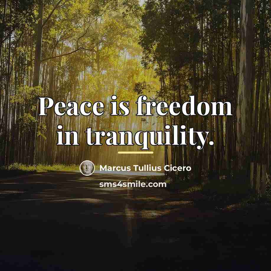 “Peace is freedom in tranquility.…” quote by Marcus Tullius Cicero