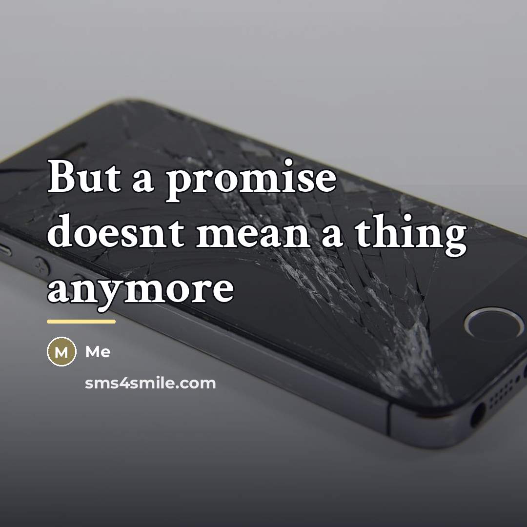 “But a promise doesnt mean a thing anymore…” quote by Me