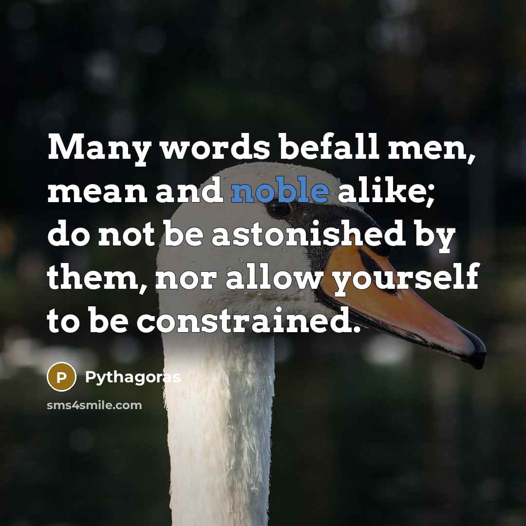 “Many words befall men, mean and noble alike; do not…” quote by Pythagoras