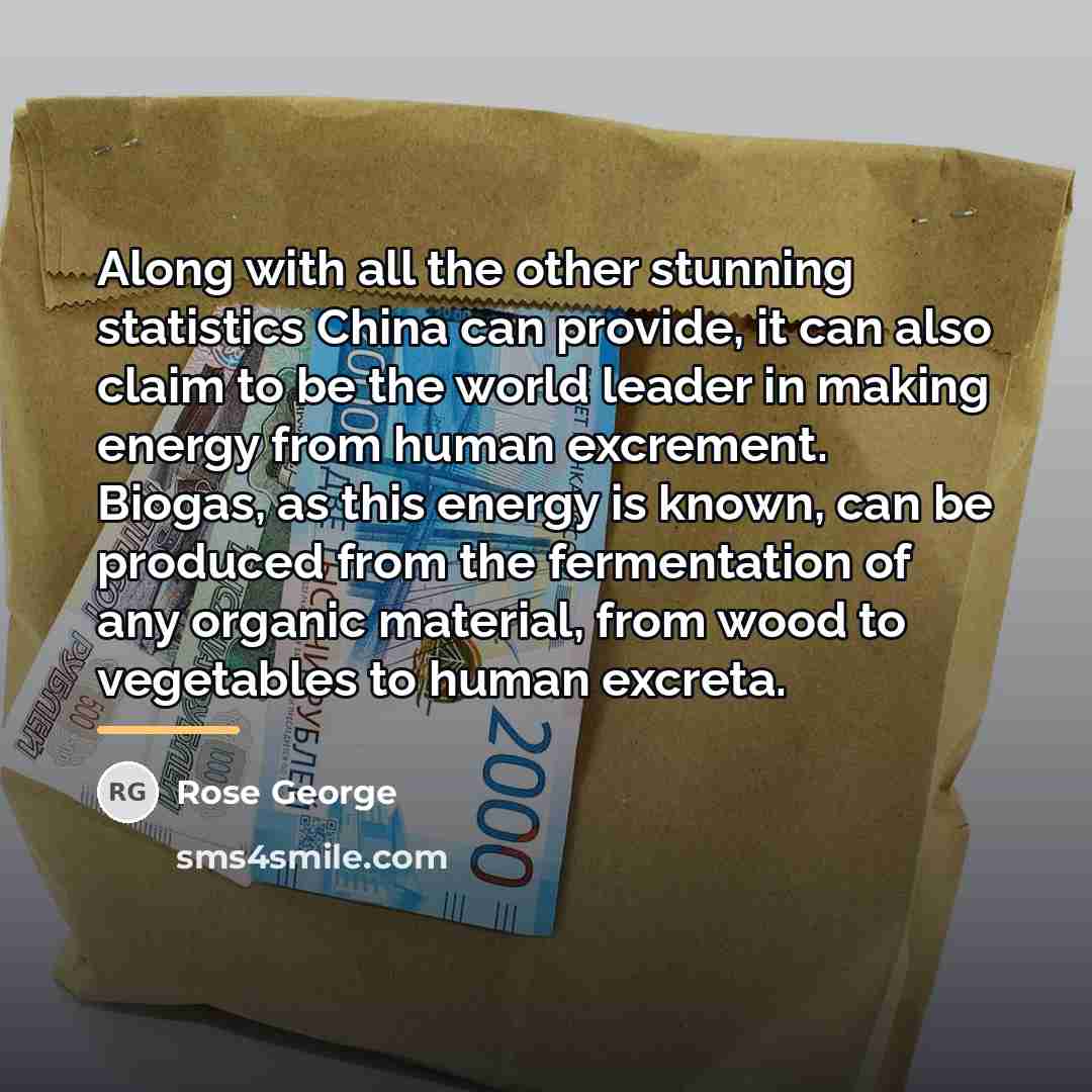 “Along with all the other stunning statistics China can provide,…” quote by Rose George
