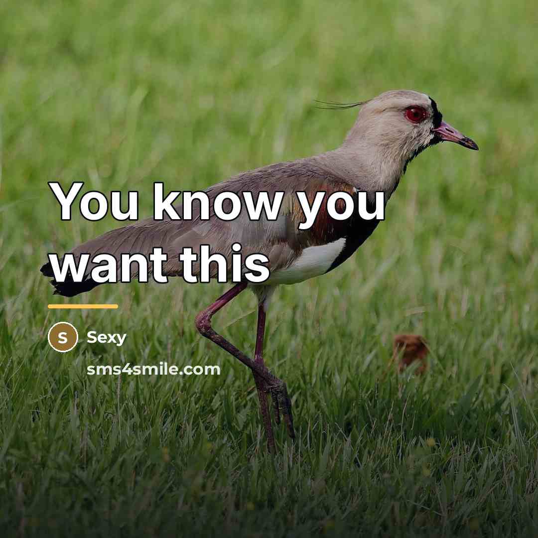 “You know you want this…” quote by Sexy