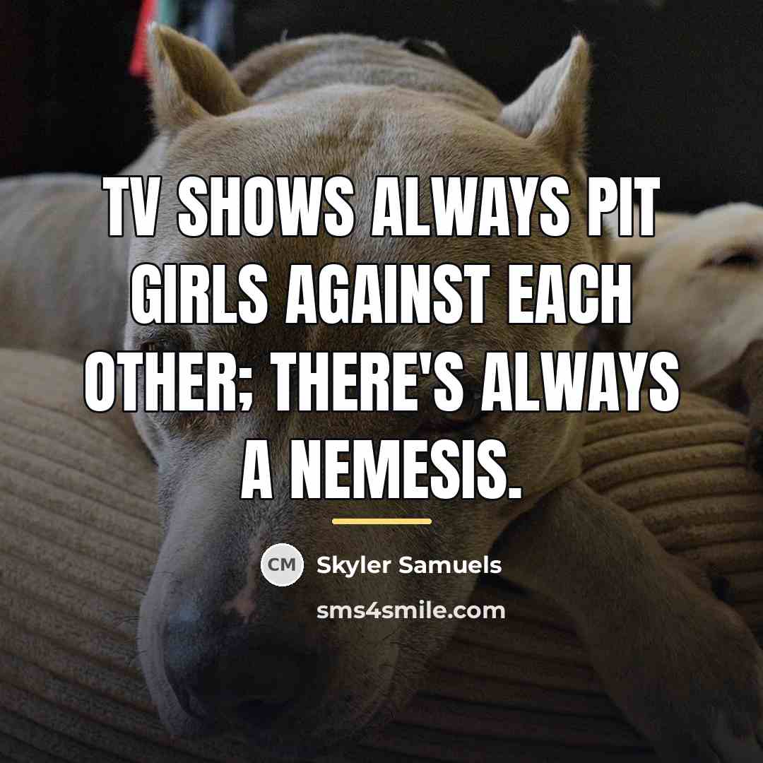 “TV shows always pit girls against each other; there's always…” quote by Skyler Samuels