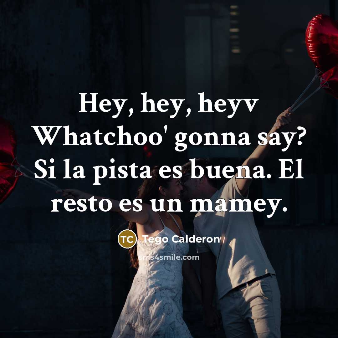 “Hey, hey, heyv Whatchoo' gonna say? Si la pista es buena. El resto es un mamey.” quote by Tego Calderon