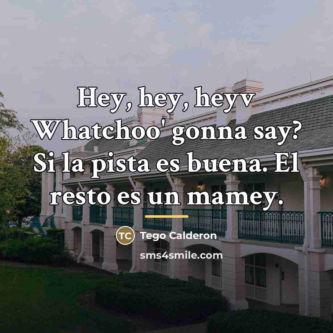 “Hey, hey, heyv Whatchoo' gonna say? Si la pista es…” quote by Tego Calderon