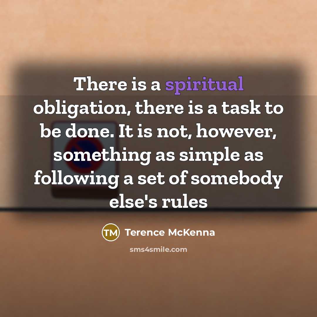 “There is a spiritual obligation, there is a task to…” quote by Terence McKenna