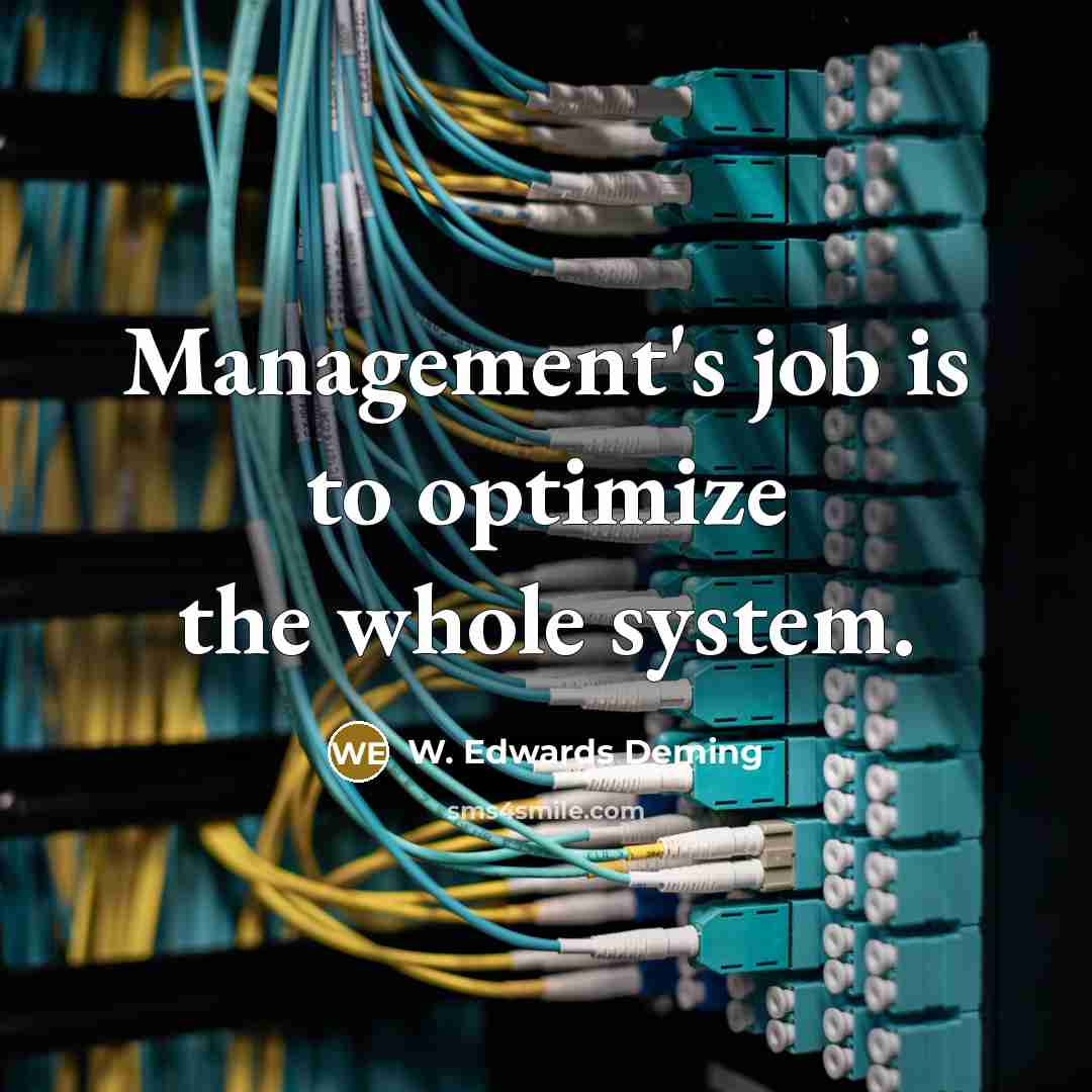 “Management's job is to optimize the whole system.…” quote by W. Edwards Deming