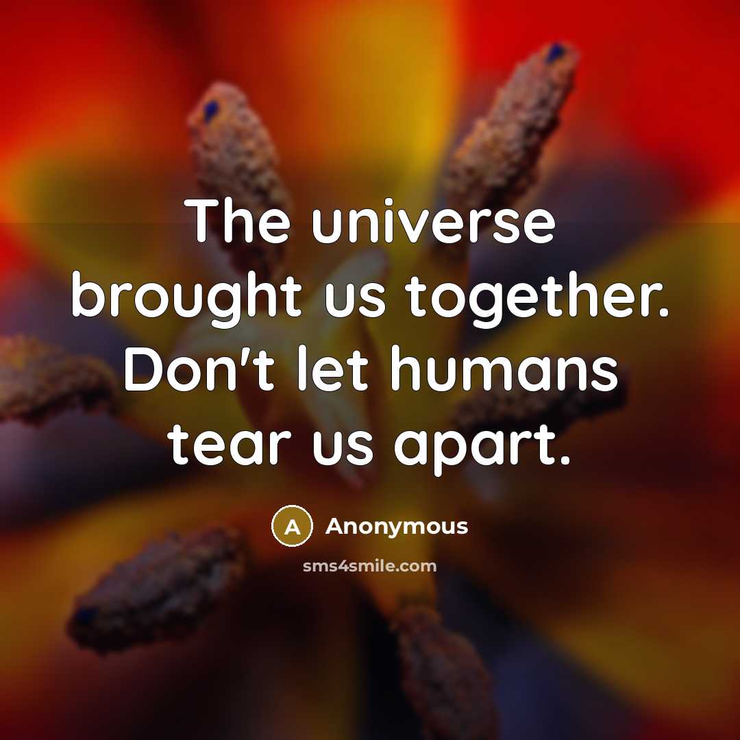 “The universe brought us together. Don't let humans tear us apart.” quote by Anonymous
