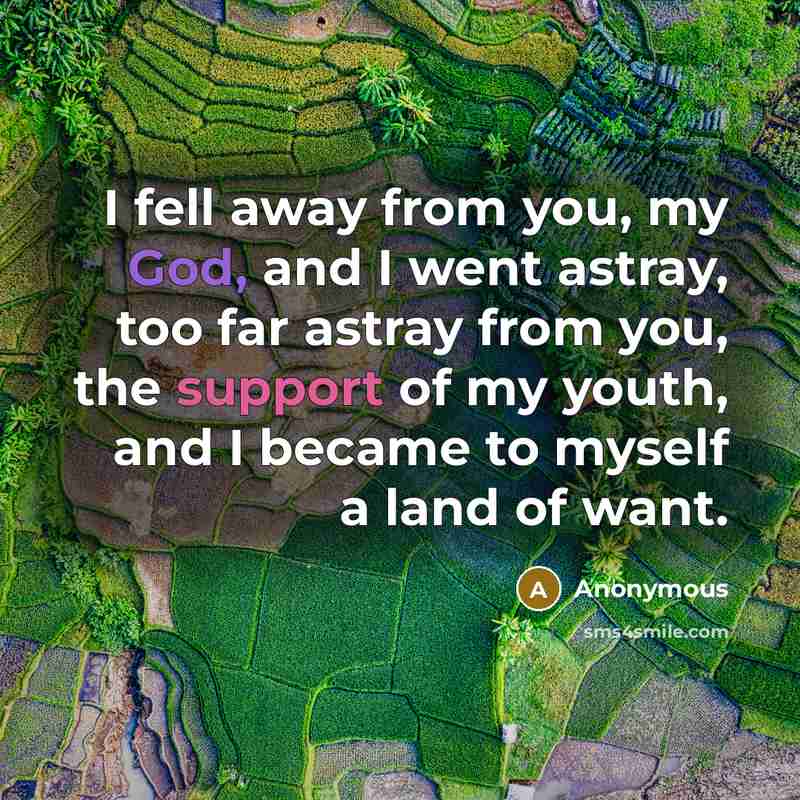 “I fell away from you, my God, and I went astray, too far astray from you, the support of my youth, and I became to myself a land of want.” quote by Anonymous