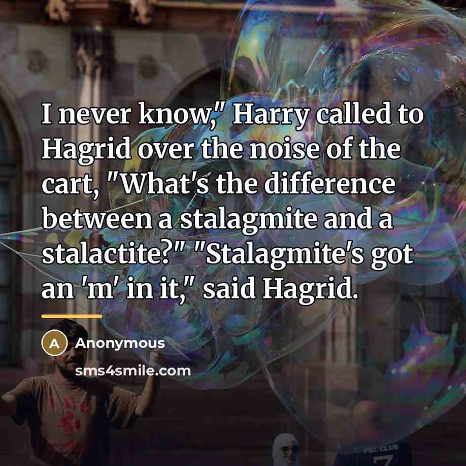 “I never know," Harry called to Hagrid over the noise…” quote by Anonymous