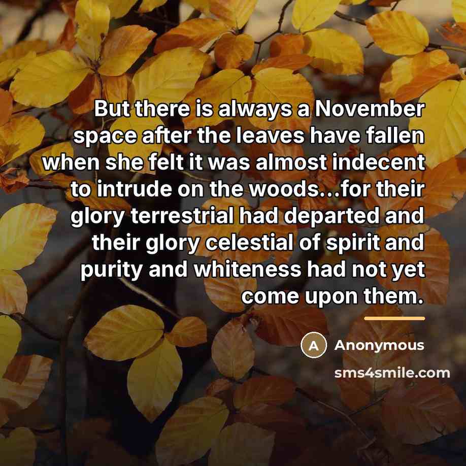 “But there is always a November space after the leaves…” quote by Anonymous