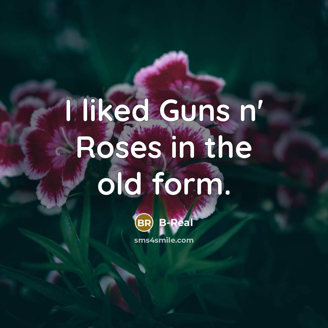 “I liked Guns n' Roses in the old form.…” quote by B-Real