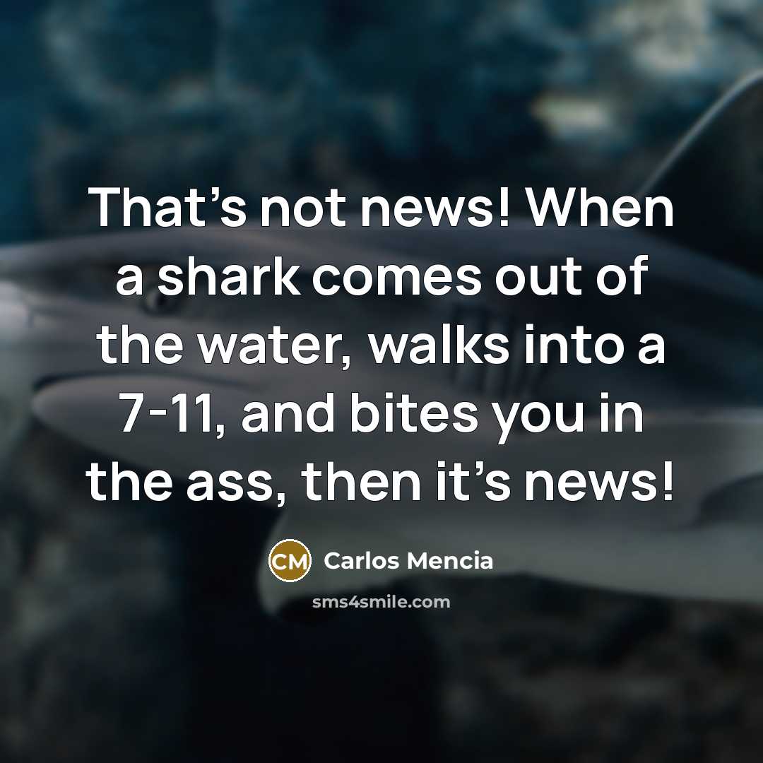 “That's not news! When a shark comes out of the…” quote by Carlos Mencia