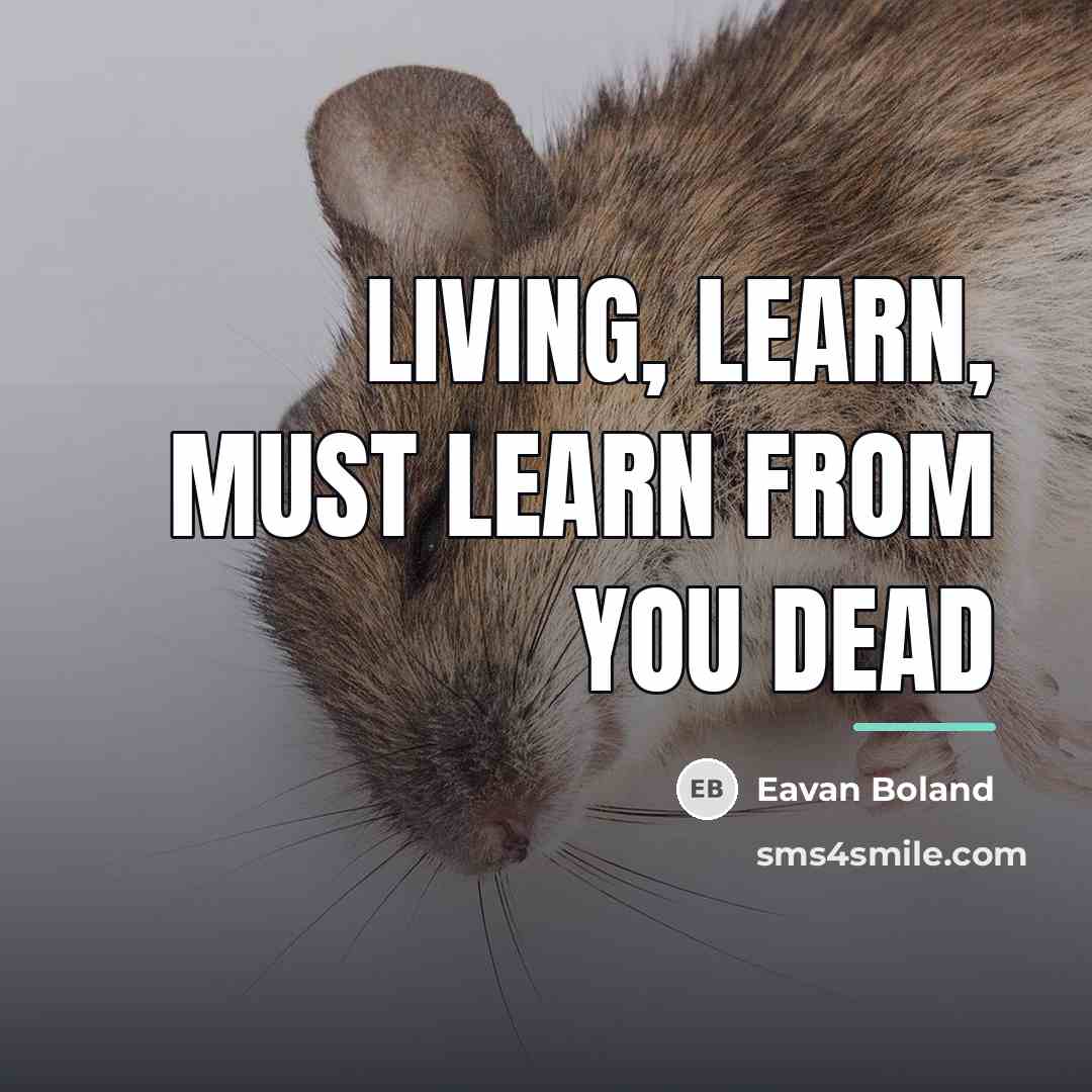 “Living, learn, must learn from you dead…” quote by Eavan Boland