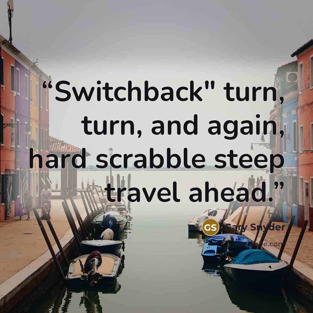 “Switchback" turn, turn, and again, hard scrabble steep travel ahead.” quote by Gary Snyder