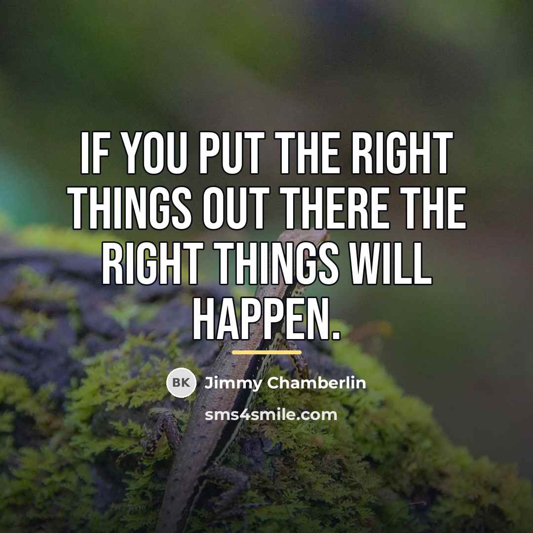 “If you put the right things out there the right…” quote by Jimmy Chamberlin
