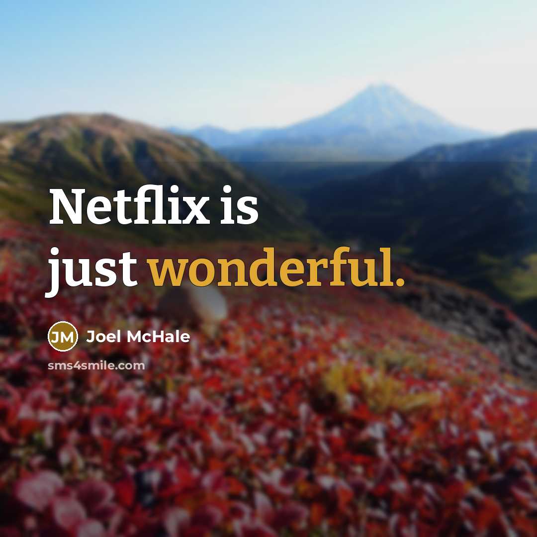“Netflix is just wonderful.…” quote by Joel McHale
