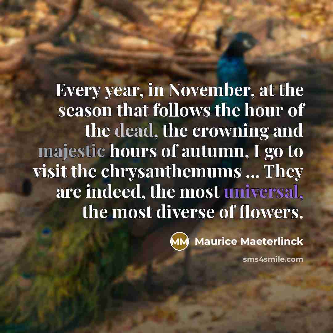 “Every year, in November, at the season that follows the…” quote by Maurice Maeterlinck