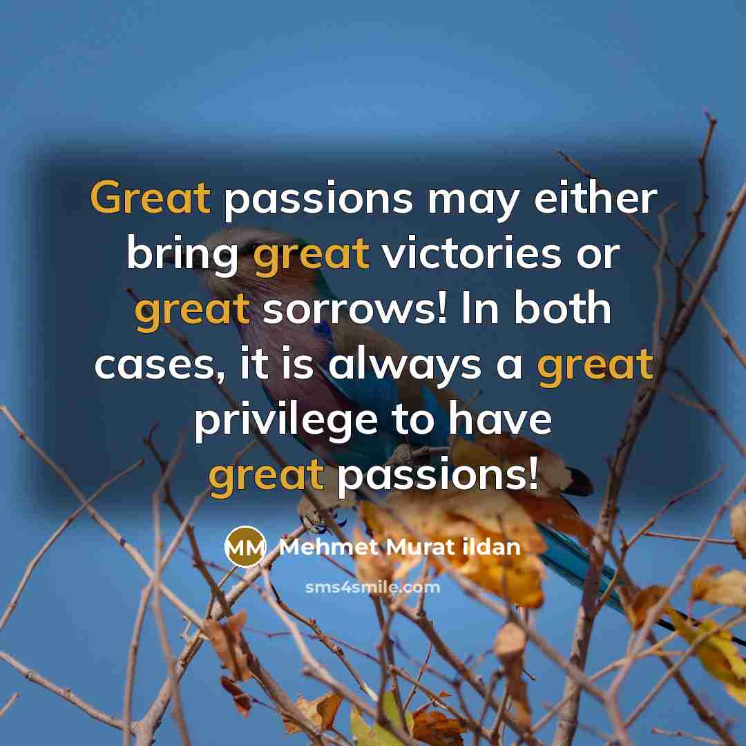 “Great passions may either bring great victories or great sorrows!…” quote by Mehmet Murat Ildan