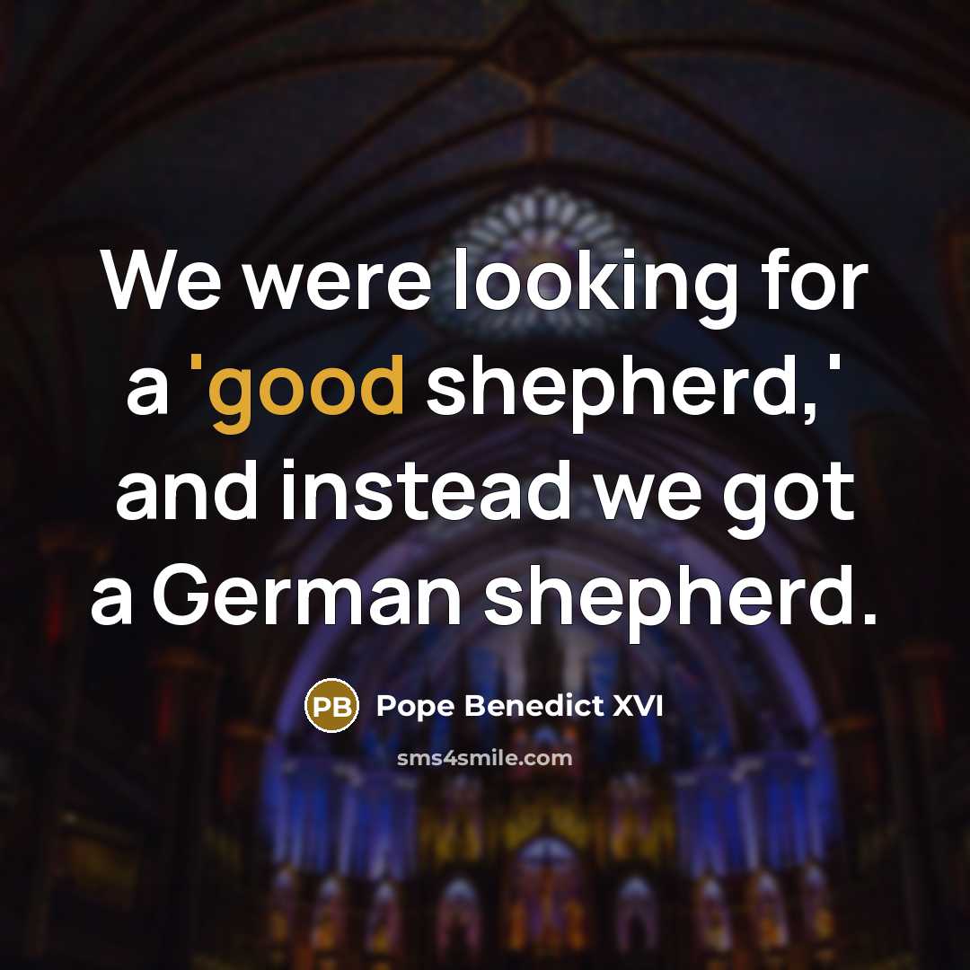 “We were looking for a 'good shepherd,' and instead we…” quote by Pope Benedict XVI