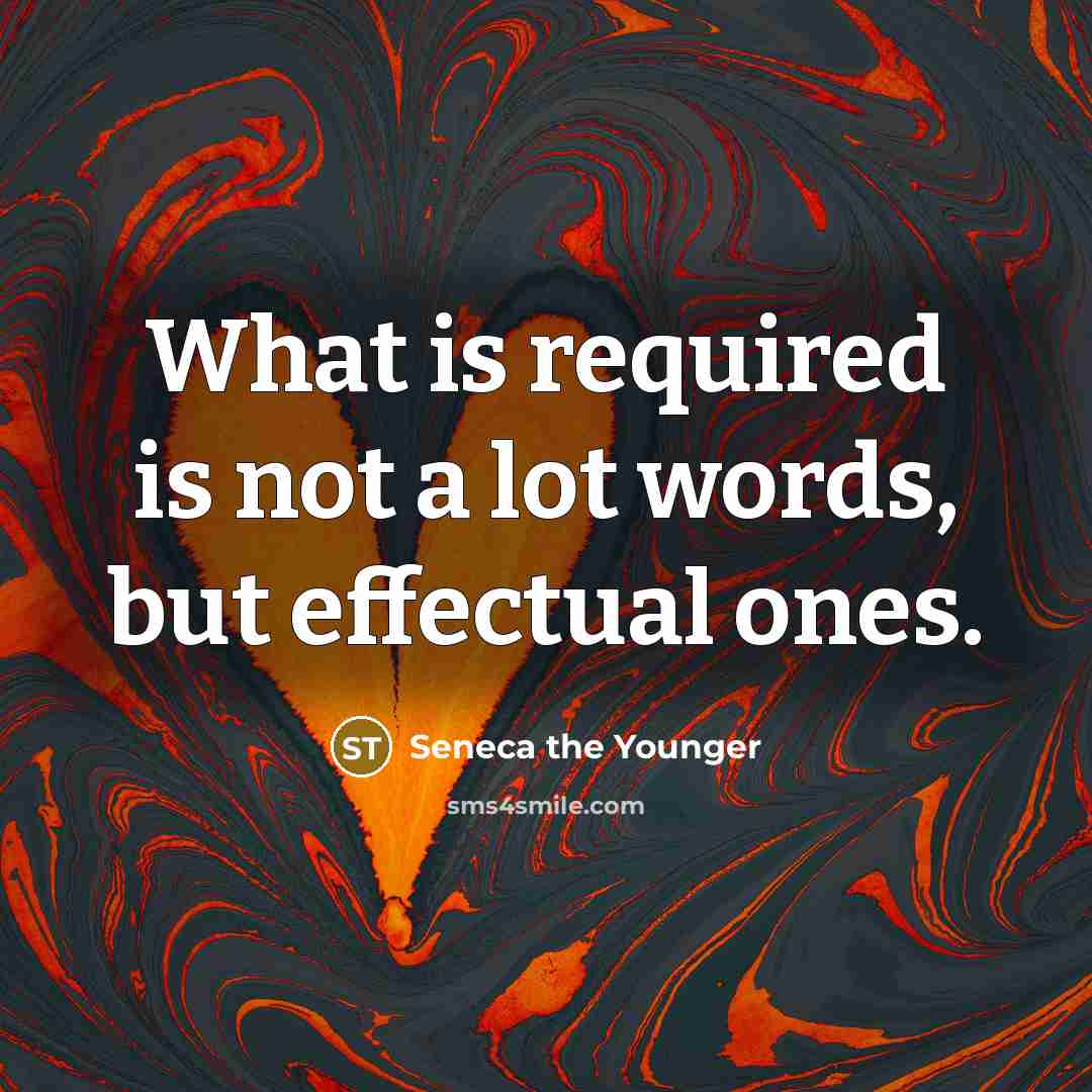 “What is required is not a lot words, but effectual…” quote by Seneca the Younger