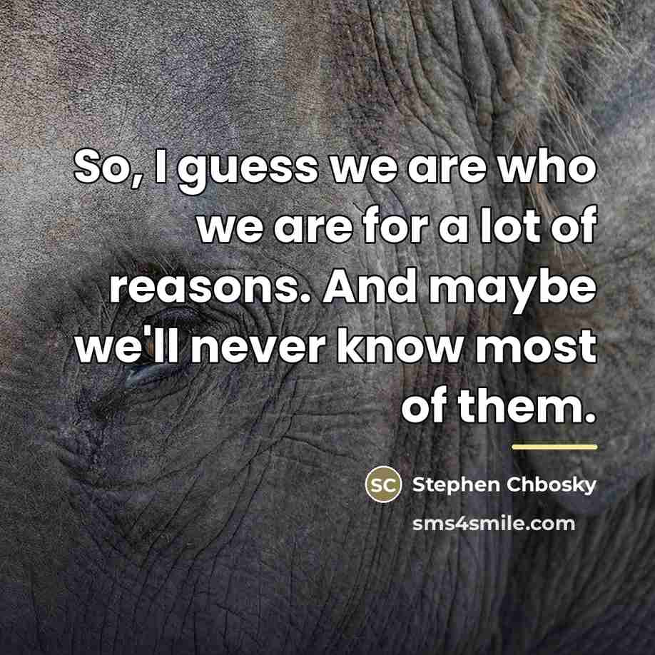 “So, I guess we are who we are for a…” quote by Stephen Chbosky