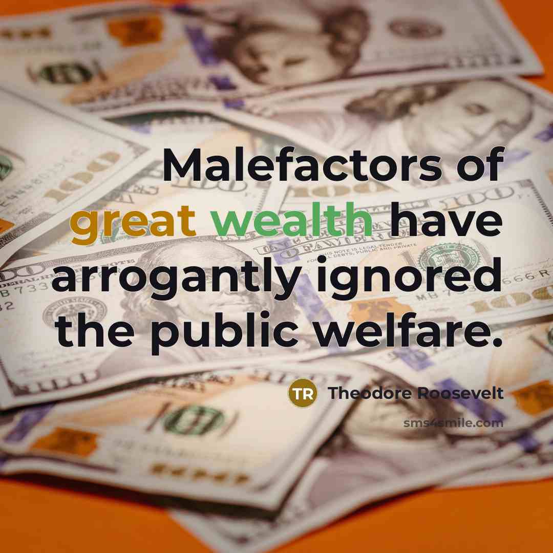 “Malefactors of great wealth have arrogantly ignored the public welfare.…” quote by Theodore Roosevelt