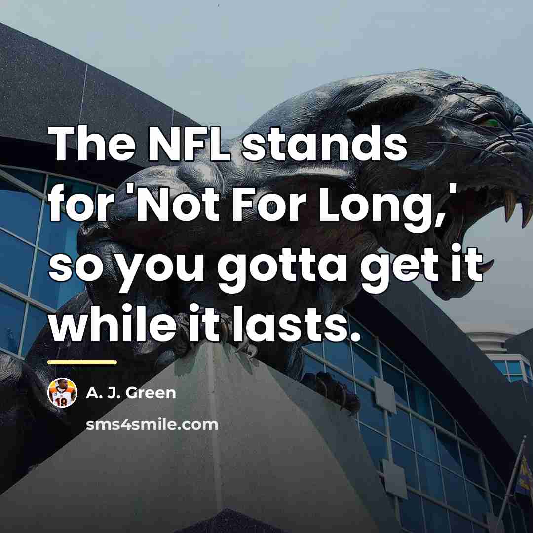 “The NFL stands for 'Not For Long,' so you gotta…” quote by A. J. Green