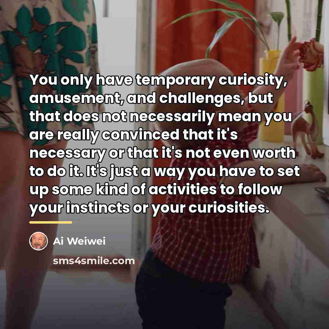 “You only have temporary curiosity, amusement, and challenges, but that…” quote by Ai Weiwei