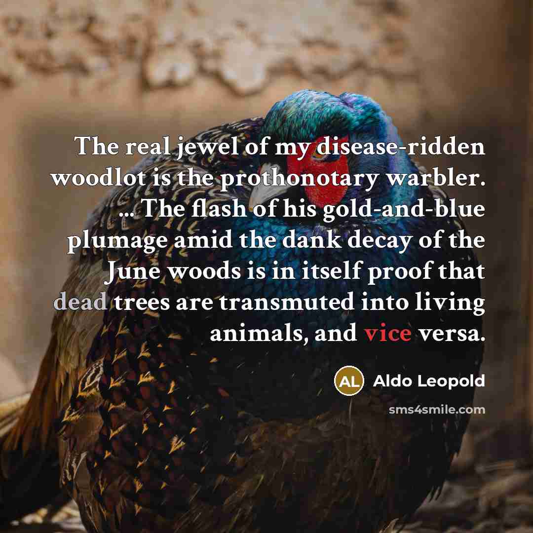 “The real jewel of my disease-ridden woodlot is the prothonotary…” quote by Aldo Leopold