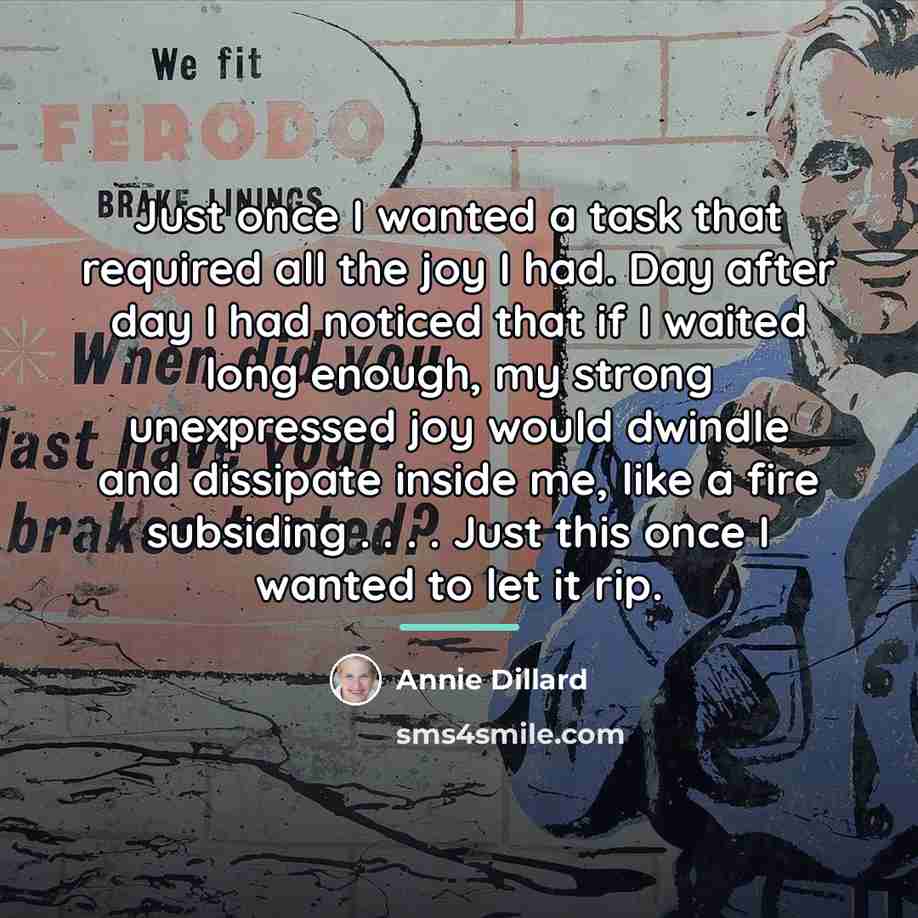 “Just once I wanted a task that required all the…” quote by Annie Dillard