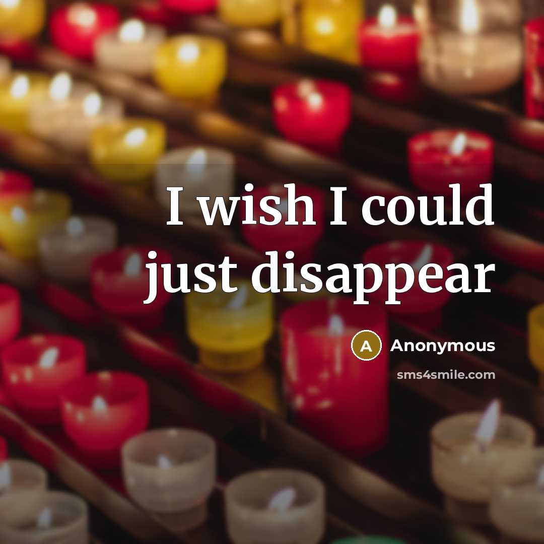 “I wish I could just disappear…” quote by Anonymous