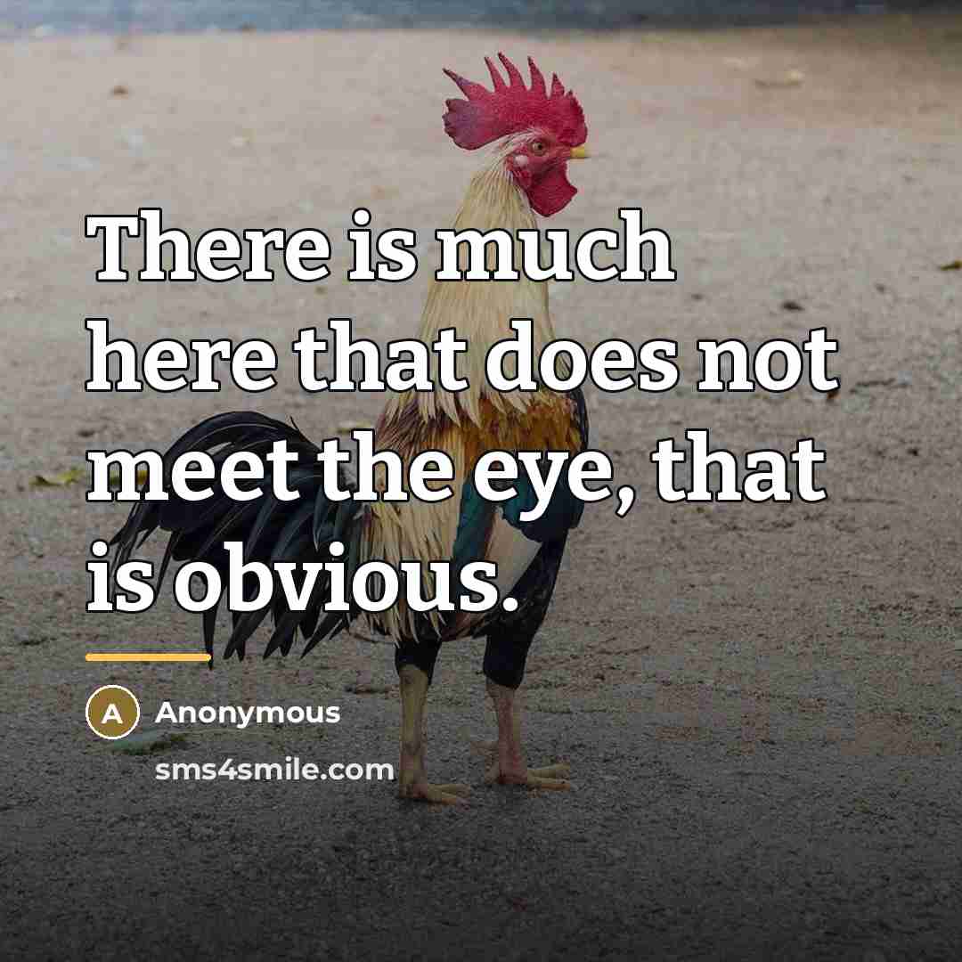“There is much here that does not meet the eye,…” quote by Anonymous