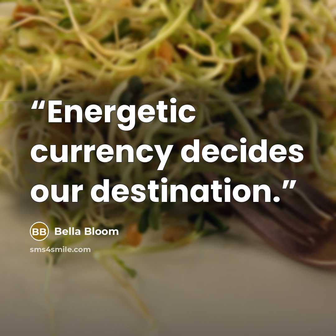 “Energetic currency decides our destination.” quote by Bella Bloom