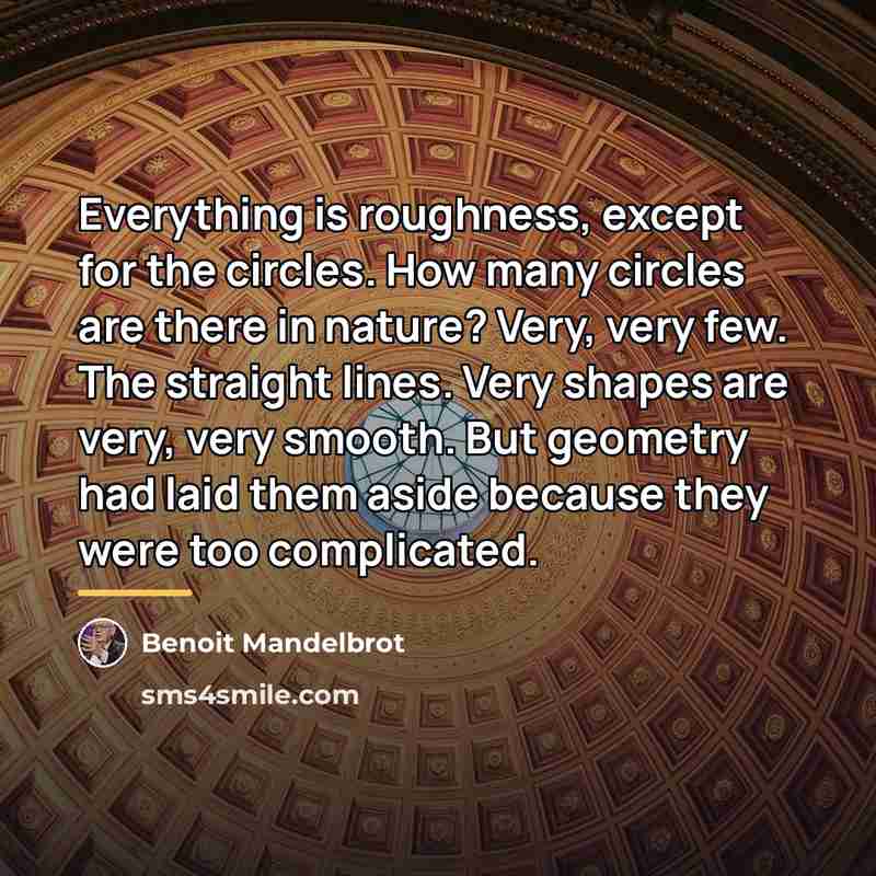 “Everything is roughness, except for the circles. How many circles…” quote by Benoit Mandelbrot