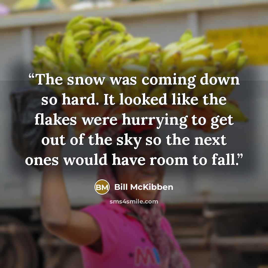 “The snow was coming down so hard. It looked like the flakes were hurrying to get out of the sky so the next ones would have room to fall.” quote by Bill McKibben