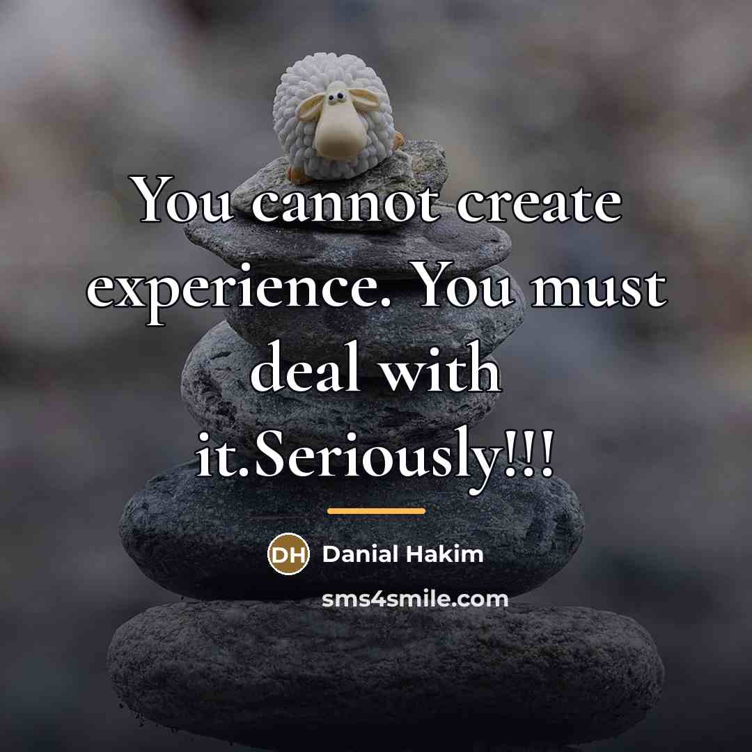 “You cannot create experience. You must deal with it.Seriously!!!…” quote by Danial Hakim