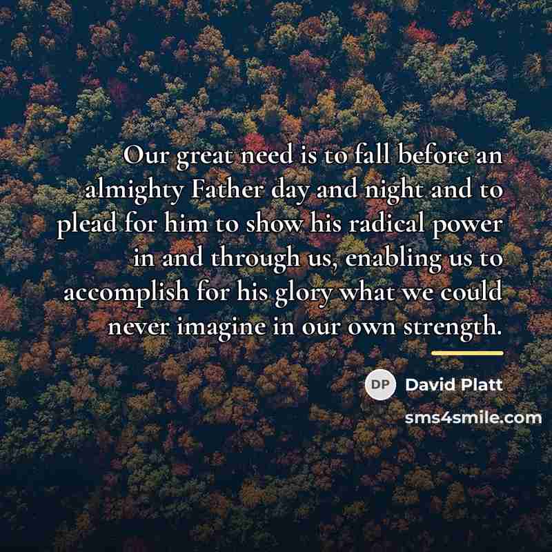 “Our great need is to fall before an almighty Father…” quote by David Platt