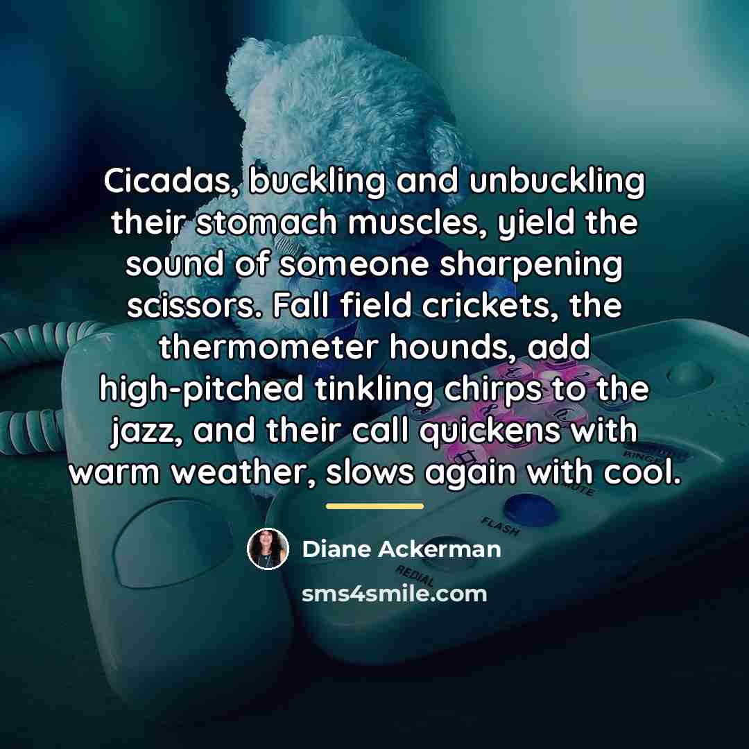 “Cicadas, buckling and unbuckling their stomach muscles, yield the sound…” quote by Diane Ackerman