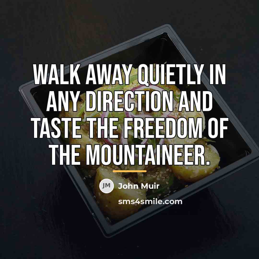“Walk away quietly in any direction and taste the freedom…” quote by John Muir