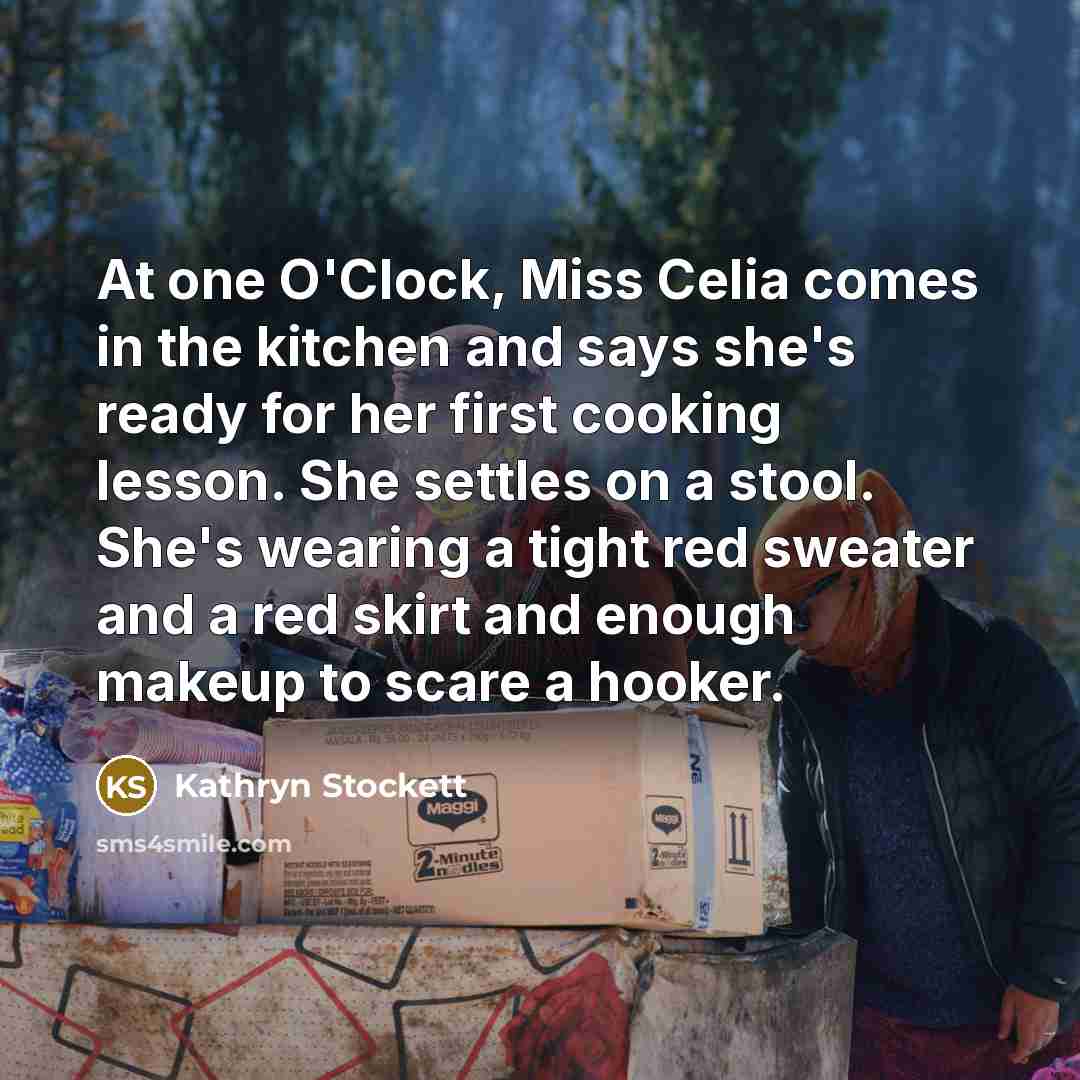 “At one O'Clock, Miss Celia comes in the kitchen and…” quote by Kathryn Stockett