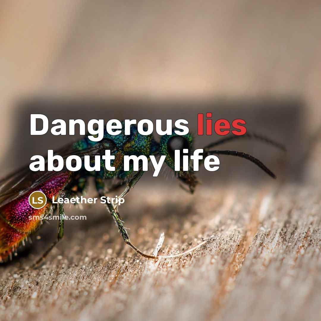 “Dangerous lies about my life…” quote by Leaether Strip