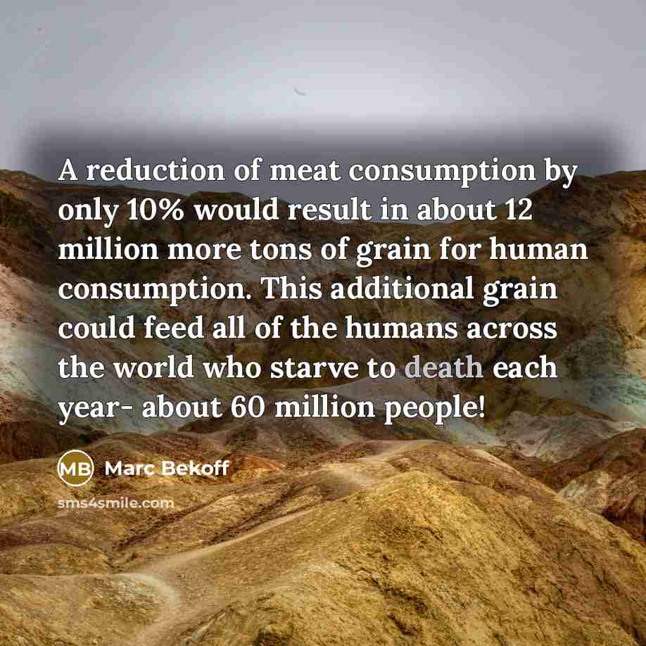 “A reduction of meat consumption by only 10% would result…” quote by Marc Bekoff