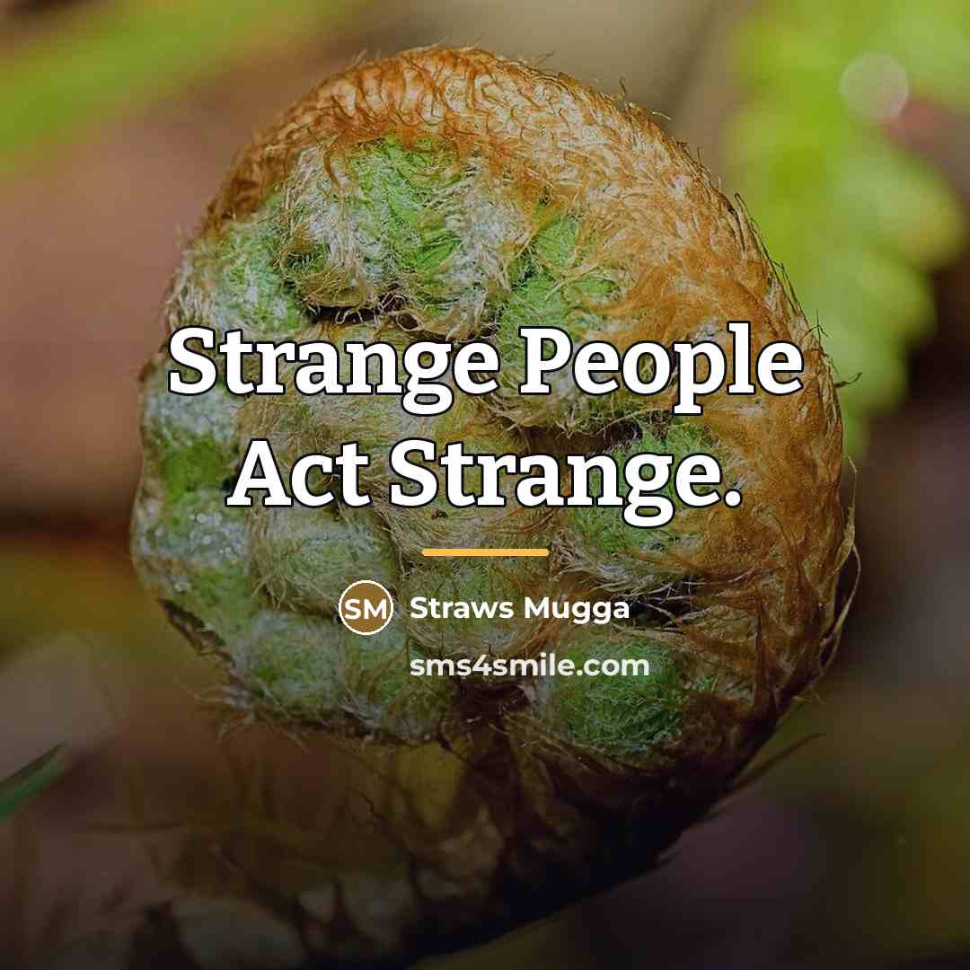 “Strange People Act Strange.…” quote by Straws Mugga