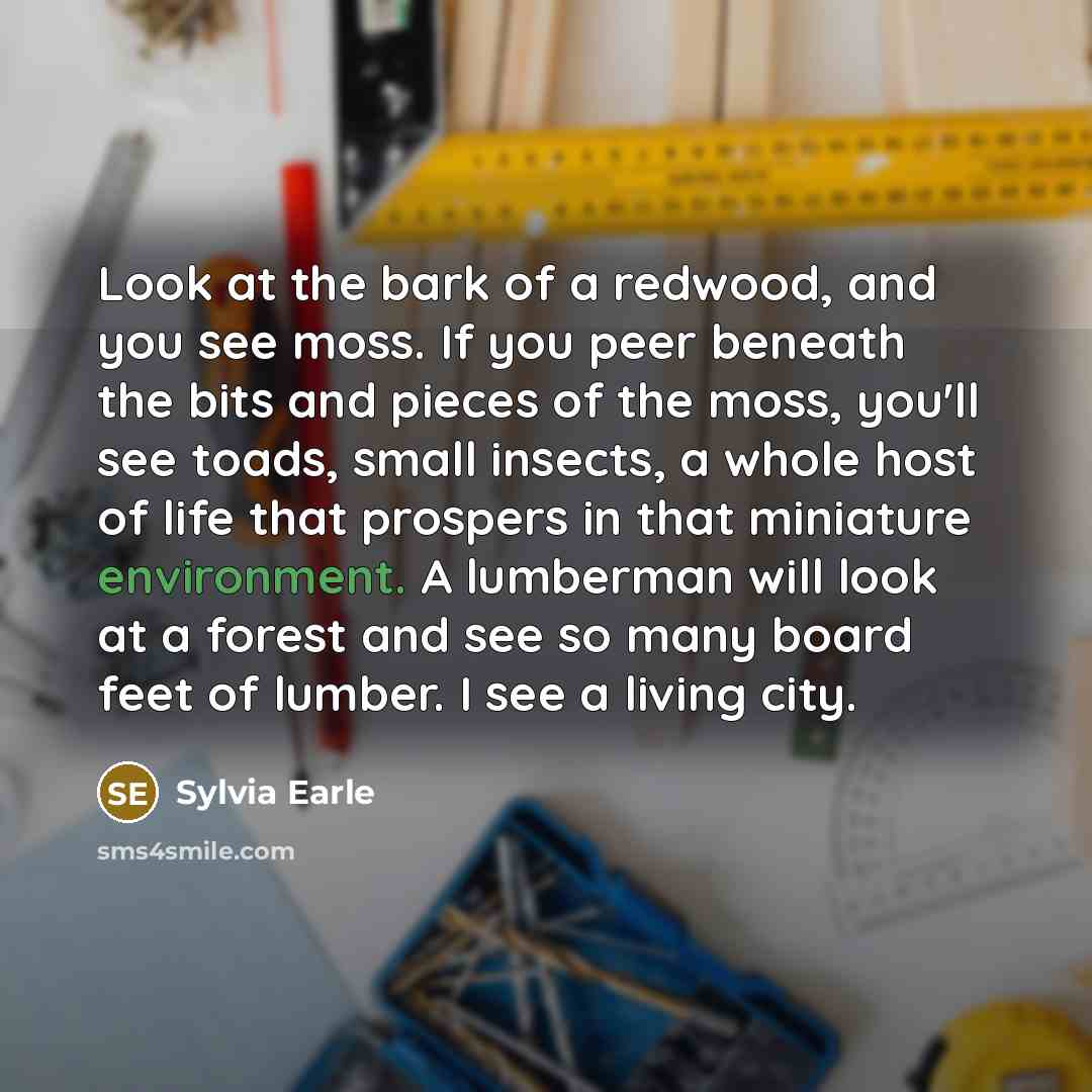 “Look at the bark of a redwood, and you see…” quote by Sylvia Earle