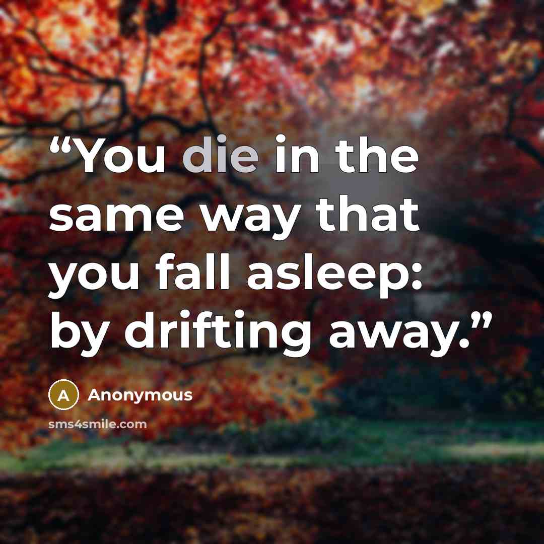 “You die in the same way that you fall asleep: by drifting away.” quote by Anonymous