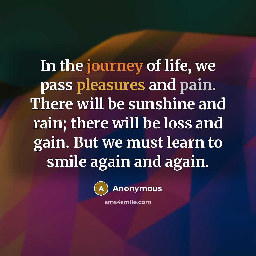“In the journey of life, we pass pleasures and pain.…” quote by Anonymous