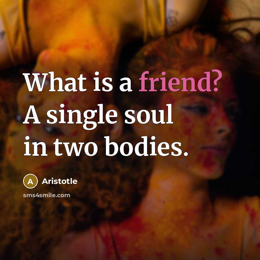 “What is a friend? A single soul in two bodies.…” quote by Aristotle